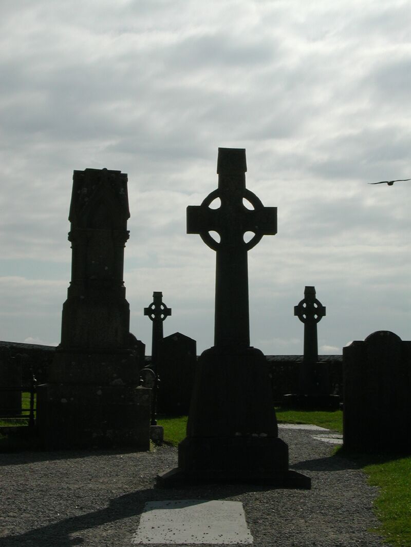 DSCN1016.jpg