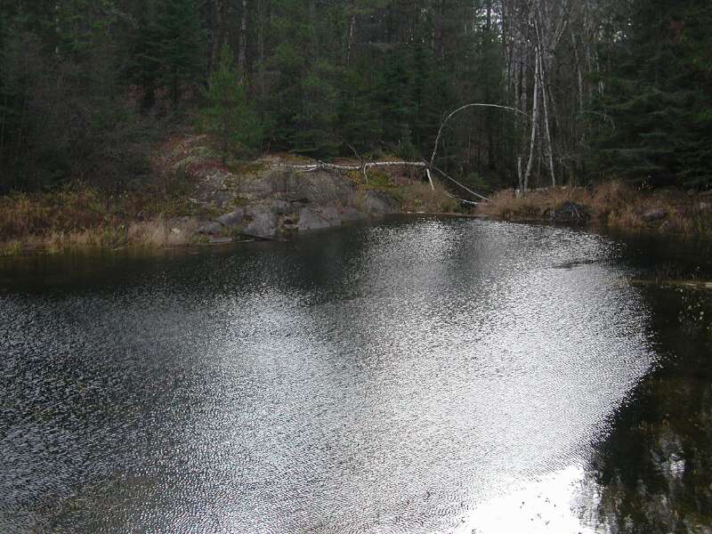 DSCN2601.jpg