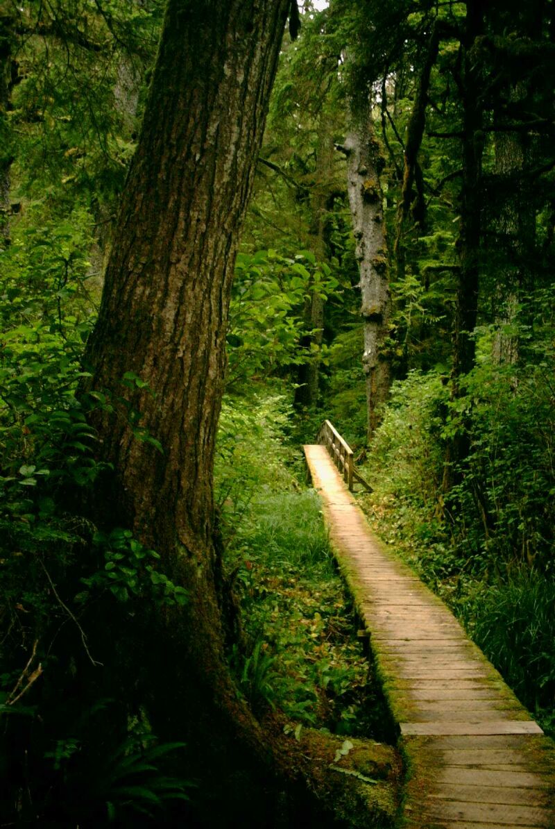 04 - Trail.jpg