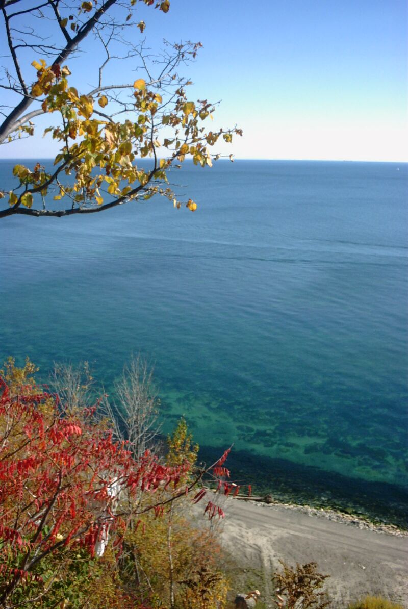 PICT0067.jpg