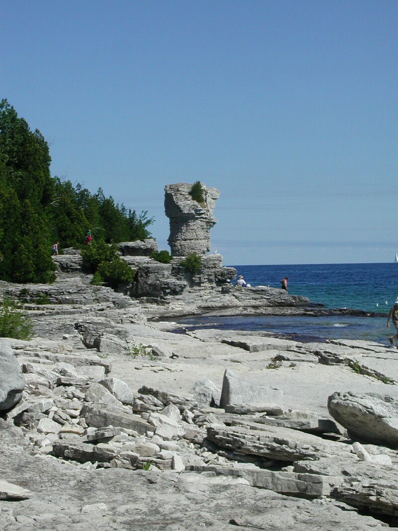 DSCN4468.jpg