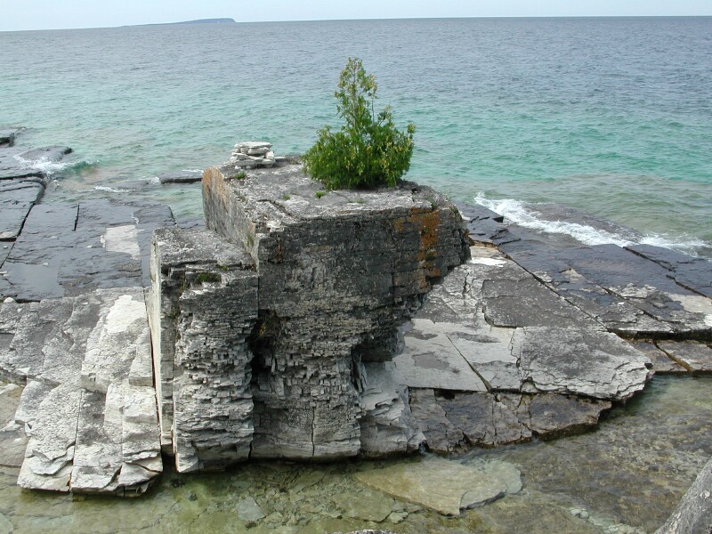 DSCN4550.jpg