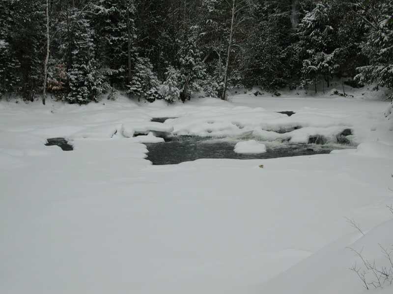DSCN5526.jpg