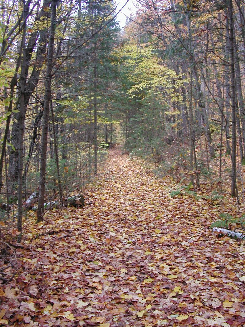 DSCN4965.jpg
