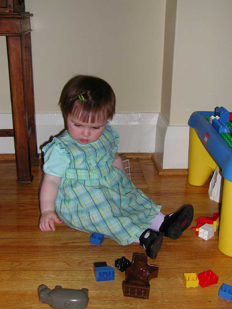 DSCN5776.jpg