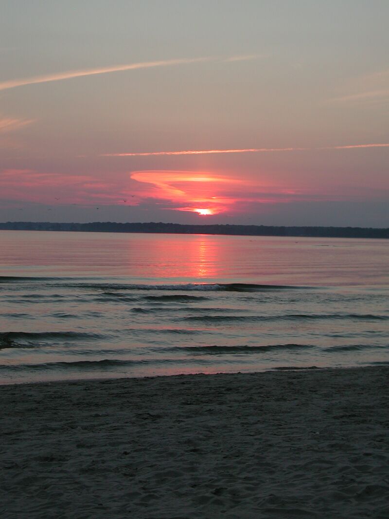 DSCN6137.jpg