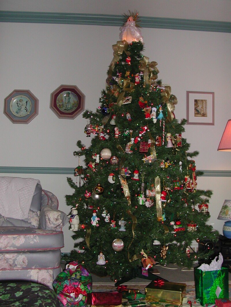 DSCN5441.jpg