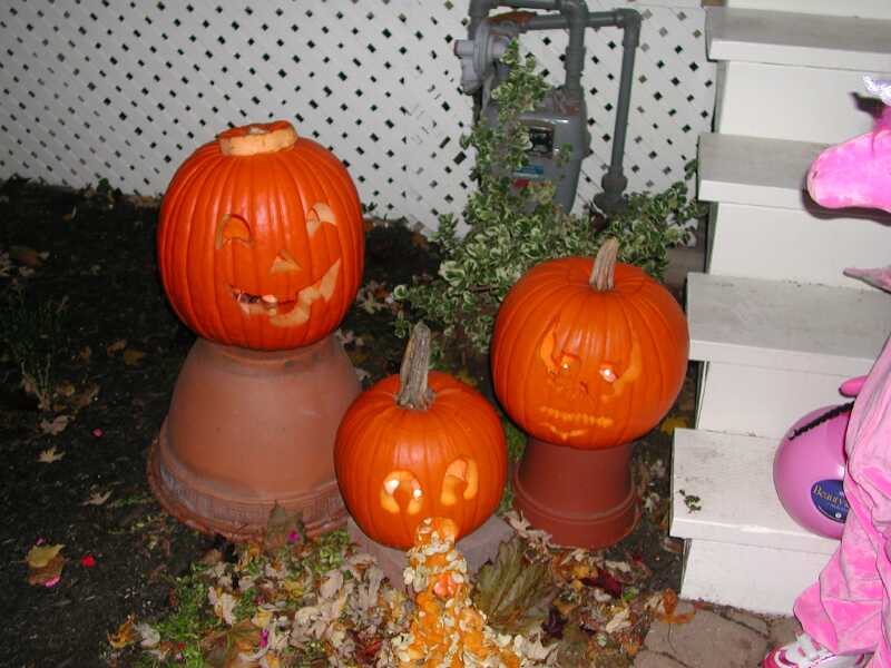 DSCN8478.jpg