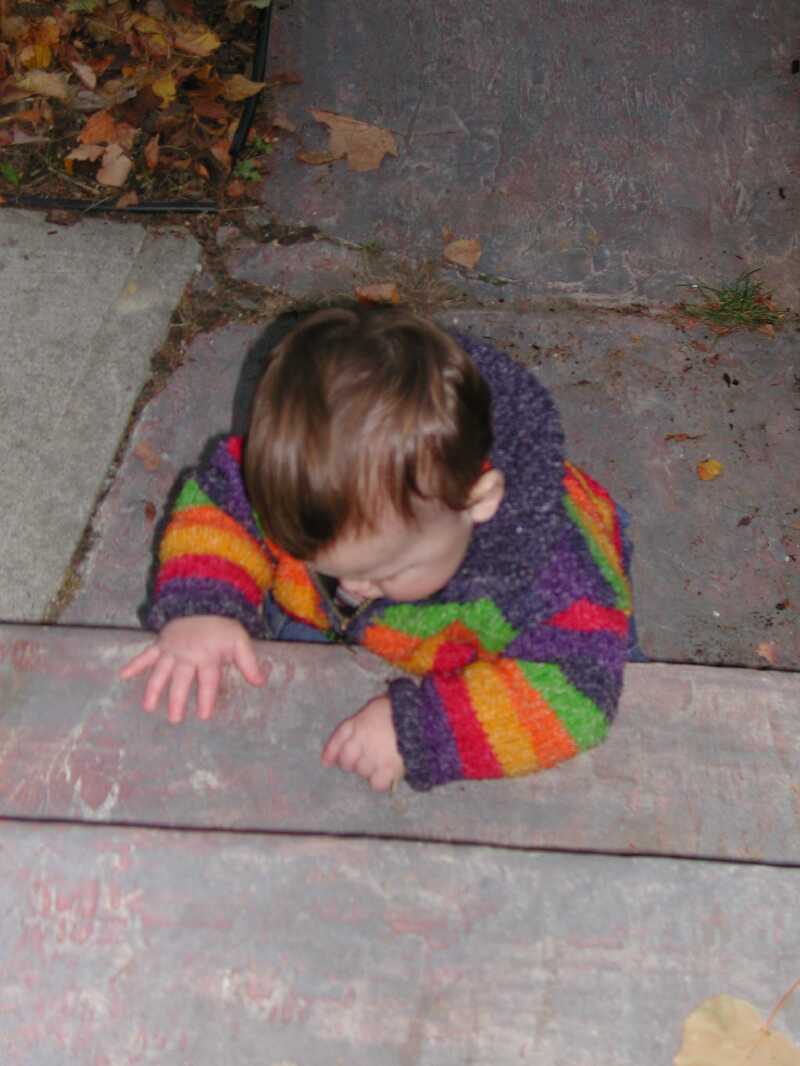 DSCN8521.jpg