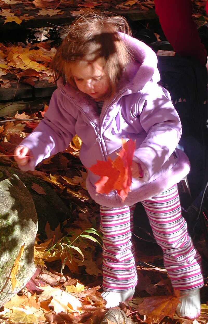 DSCN8408C.jpg