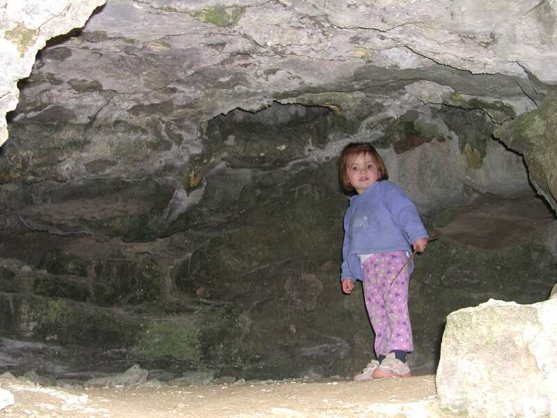 DSCN8231.jpg
