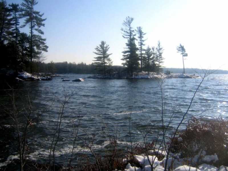 the lake.jpg