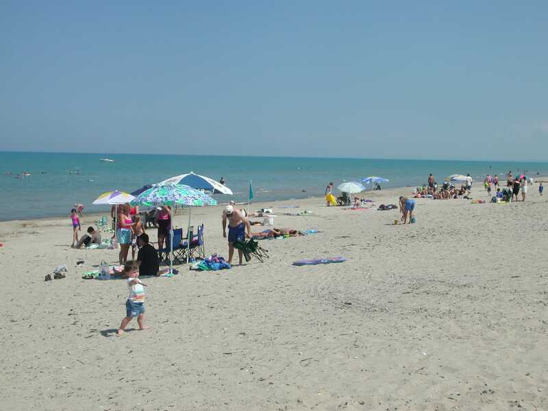 DSCN9530.jpg