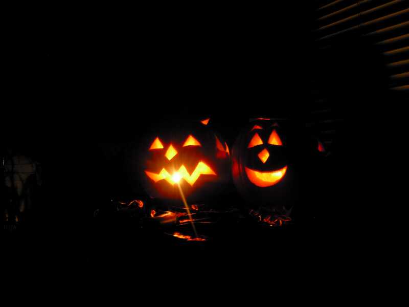 DSCN1027.jpg