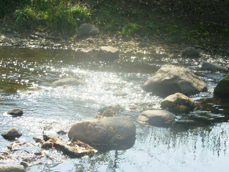 DSCN2236.jpg